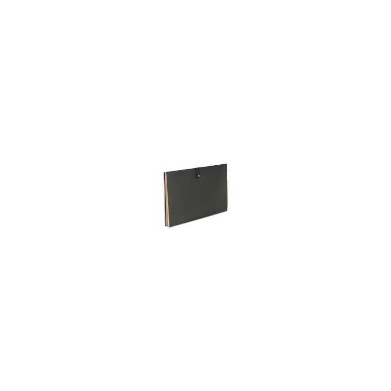 VIQUEL Trieur horizontal RAINBOW 8 compartiments en polypro 8/10, Noir intérieur multicolore