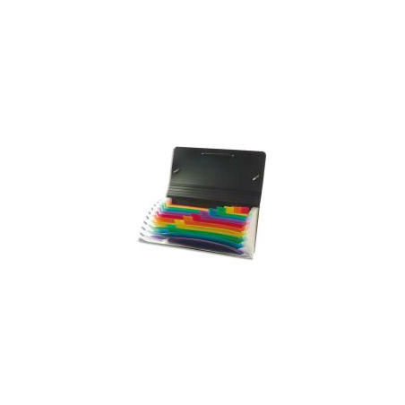 VIQUEL Trieur chèque RAINBOW 12 compartimenents en polypro 7/10, Noir intérieur multicolore, 26x13cm