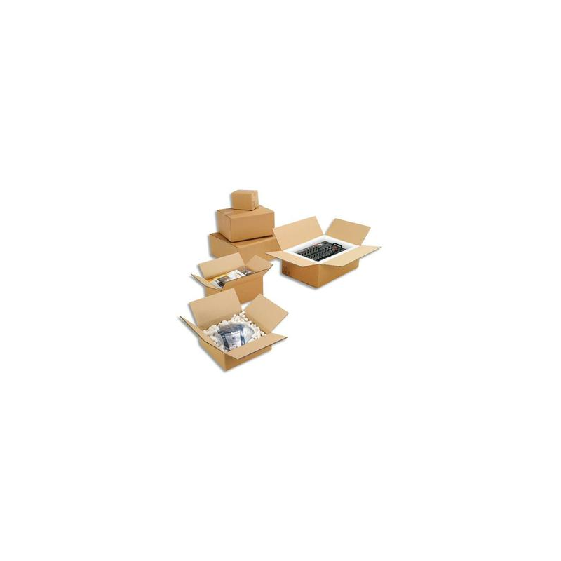 Paquet de 10 caisses américaines double cannelure en kraft écru - Dimensions : 50 x 40 x 30 cm
