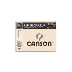 CANSON Pochette de 12 feuilles papier dessin MI-TEINTES 160g 24x32cm Noir Ref-317104