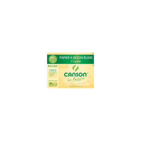 CANSON Pochette de 10 feuilles de papier dessin C A GRAIN 224g A3 Ref-27115