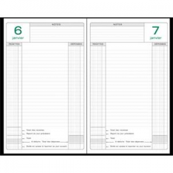 EXACOMPTA Agenda Perpétuel recettes/dépenses 1 jour par page - format 15 x 21 cm couverture Noire