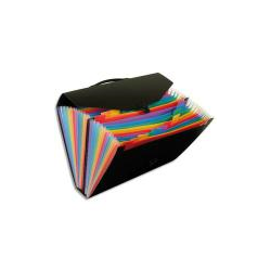 VIQUEL Trieur malette Rainbow 26 compartiments, polypro 10/10e, Noir intérieur multicolore