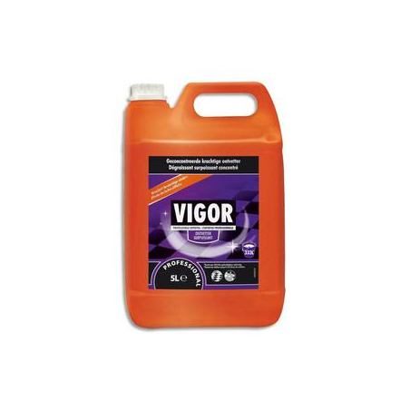 VIGOR Bidon de 5 Litres Nettoyant Détergent surpuissant dégraisant concentré PH11