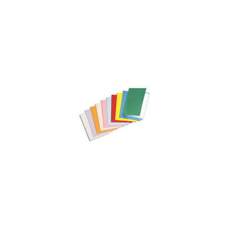 PERGAMY Paquet de 100 chemises carte recyclée 180 grammes coloris Bulle