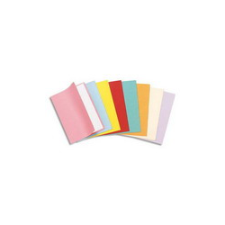 PERGAMY Paquet de 250 sous-chemises papier recyclé 60 grammes coloris assortis