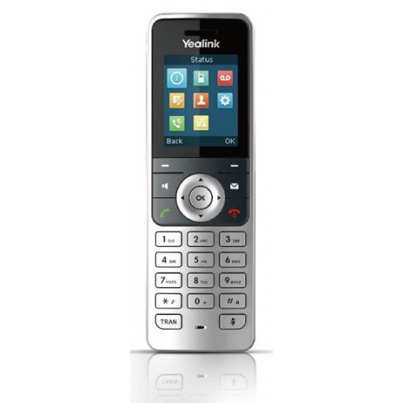 Téléphone DECT supplémentaire W53H