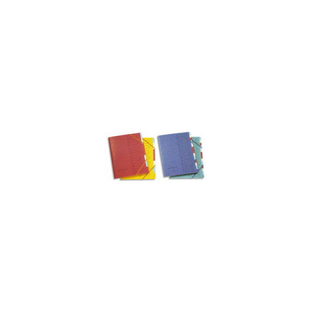 EMEY Trieur en carte forte 4.3/10e 12 compartiments coloris assortis