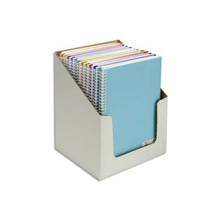 CANSON Carnets de notes 100 pages 120g 21x29,7cm. Couverture PP assorties (en boîte présentoir)