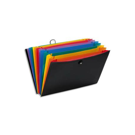 VIQUEL Valise trieur RAINBOW 12 compartiments, en polypro 10/10e, Noir intérieur multicolore