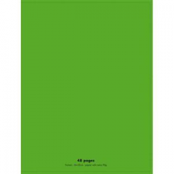 NEUTRE Cahier piqûre 48 pages 90g Seyès 24x32 Couverture polypro vert