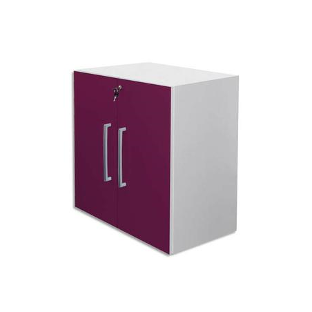 MT INTERNATIONAL Lot de 2 Portes Basses MT1 Elégance pour module - Dim 1 porte L39,7 x H79,5 cm Prune