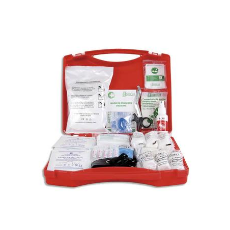 LABORATOIRES ESCULAPE Trousse premier secours BTP20 pour 10 à 20 personnes, support mural