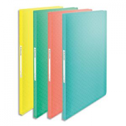 ESSELTE Protège-documents Colour ice 40 pochettes, 80 vues, en polypropylène 5/10ème. Coloris assortis