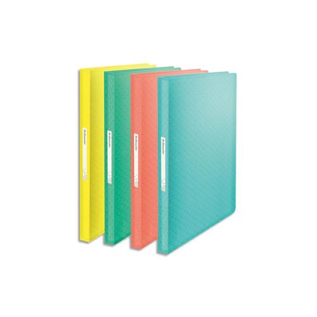 ESSELTE Protège-documents Colour ice 80 pochettes, 160 vues, en polypropylène 5/10ème. Coloris assortis